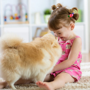 Dog with girl