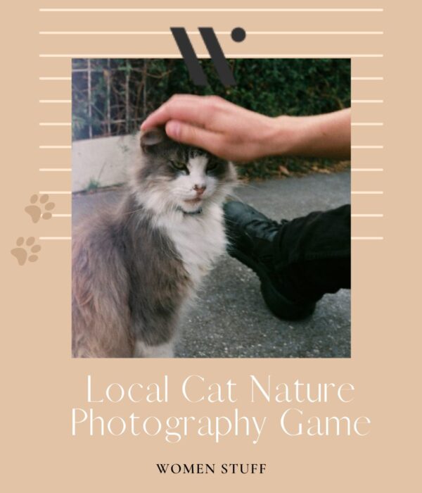 Local Cat Nature Photography Game Banner Image