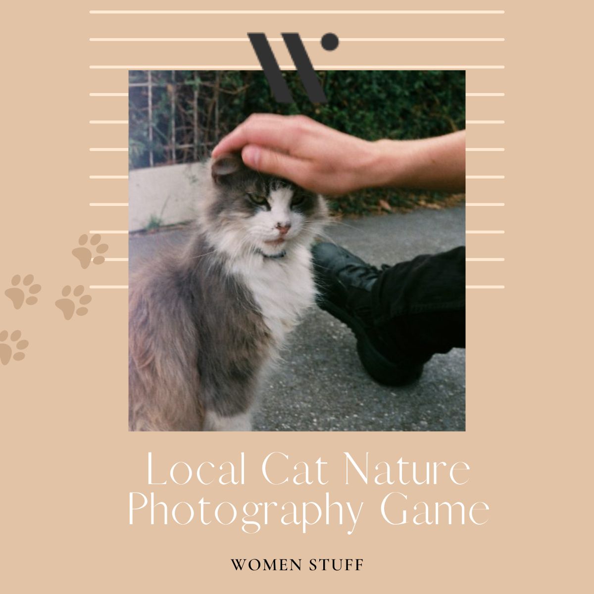 Local Cat Nature Photography Game Banner Image
