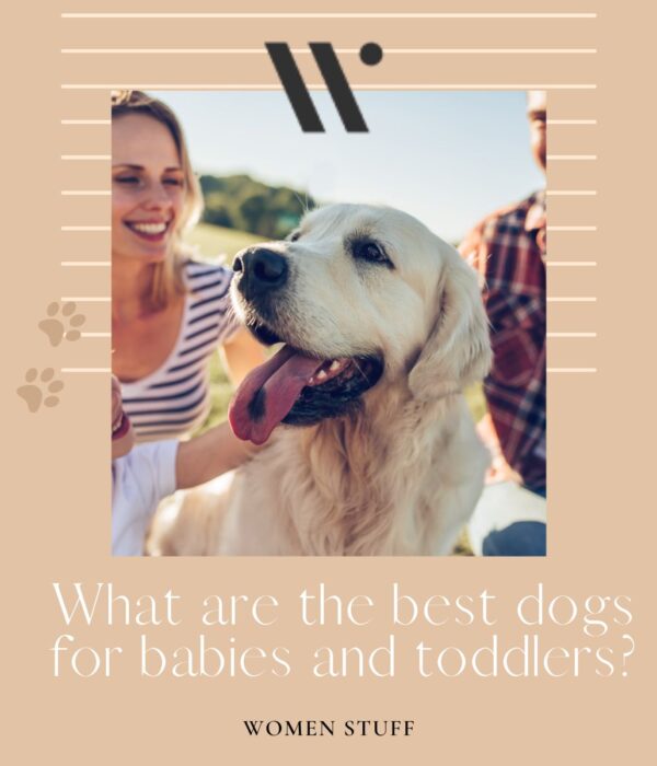 What are the best dogs for babies and toddlers Banner Image