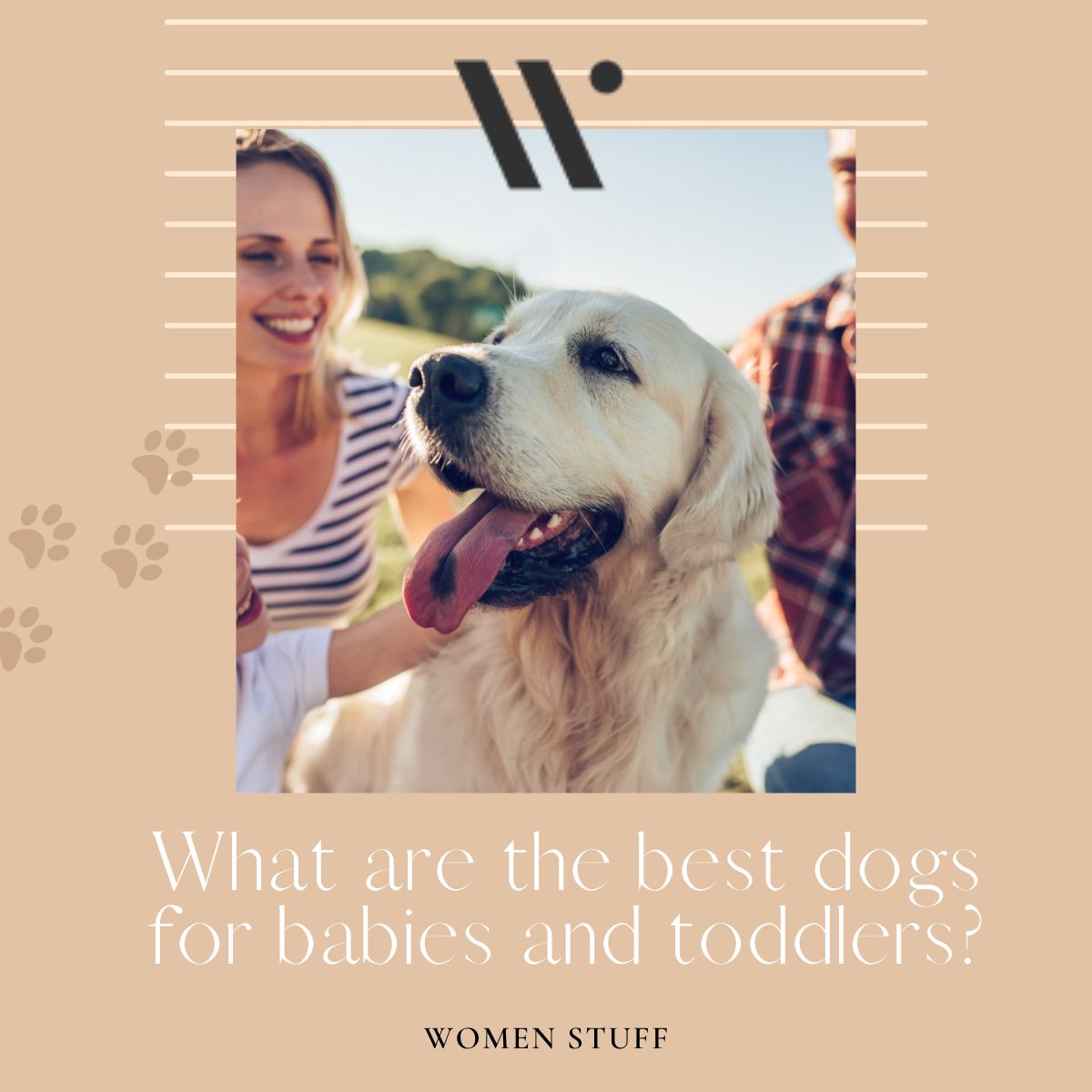 What are the best dogs for babies and toddlers Banner Image