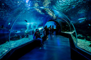 manila aquarium 