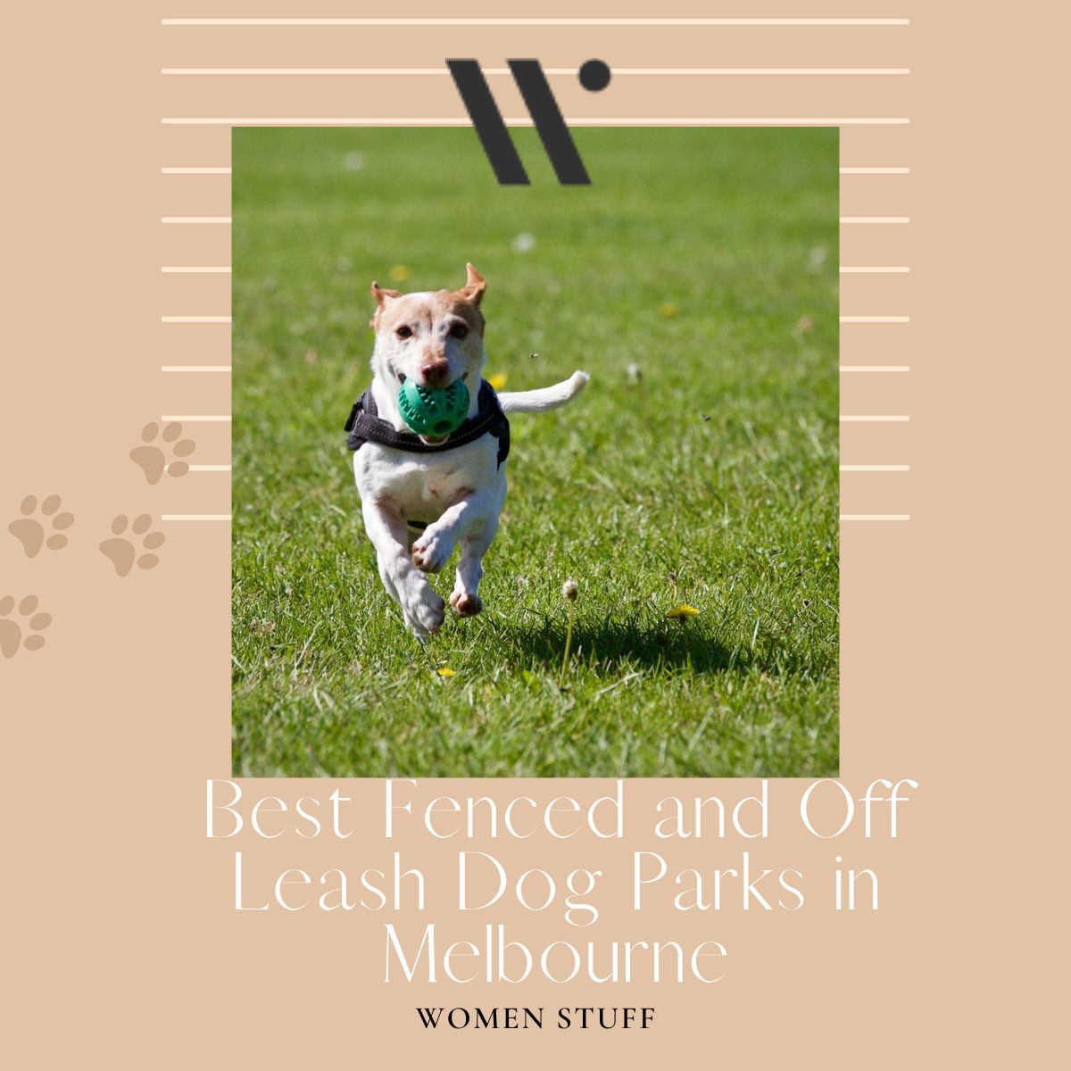 Best Fenced and Off Leash Dog Parks in Melbourne Banner Image
