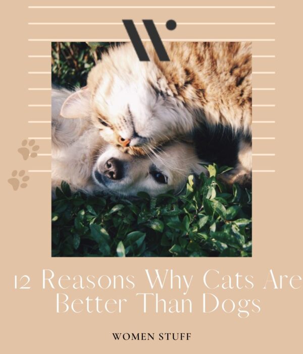 12 Reasons Why Cats Are Better Than Dogs Banner Image