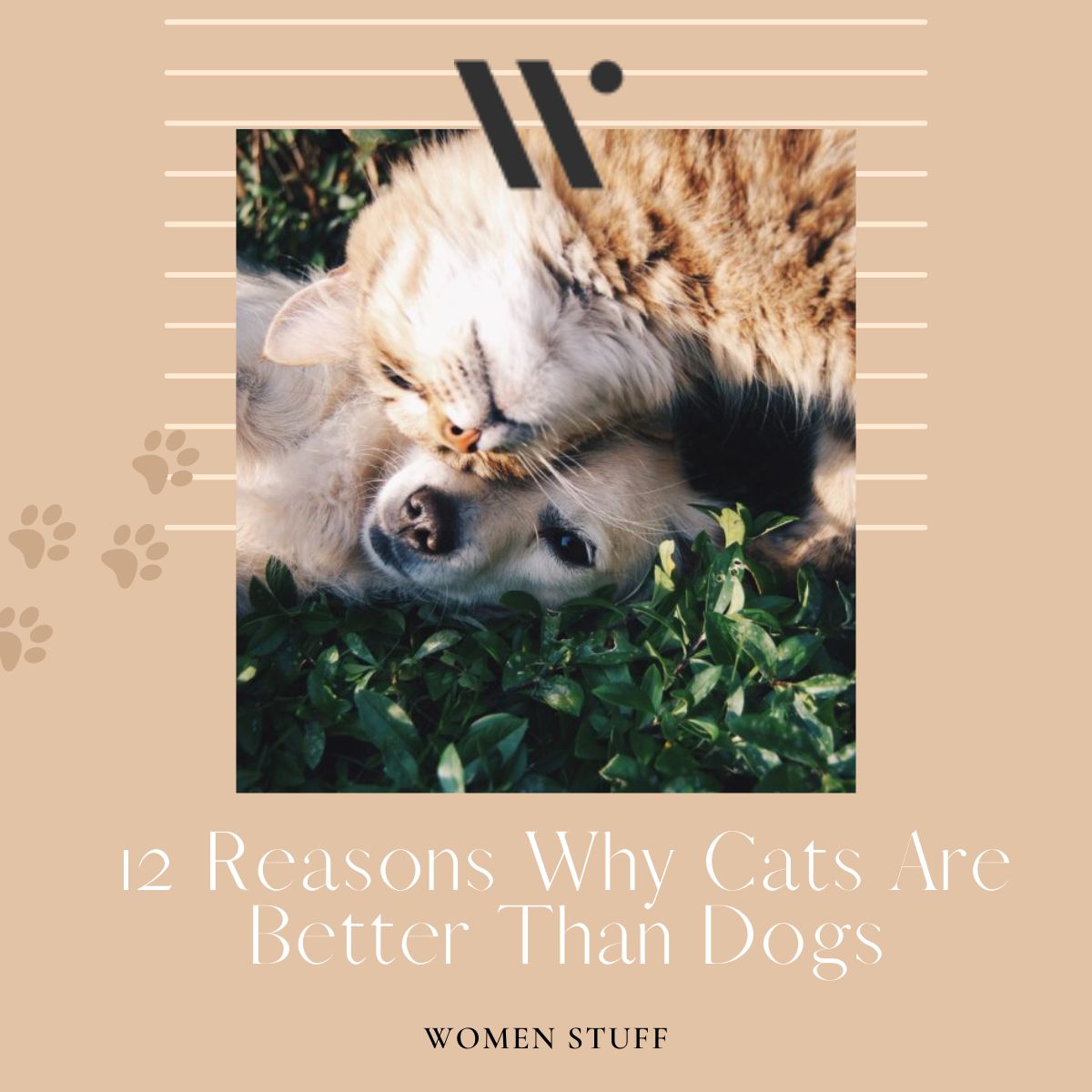 12 Reasons Why Cats Are Better Than Dogs Banner Image