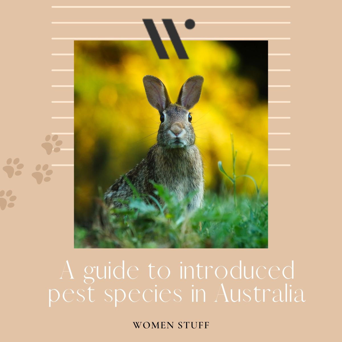 A guide to introduced pest species in Australia Banner Image