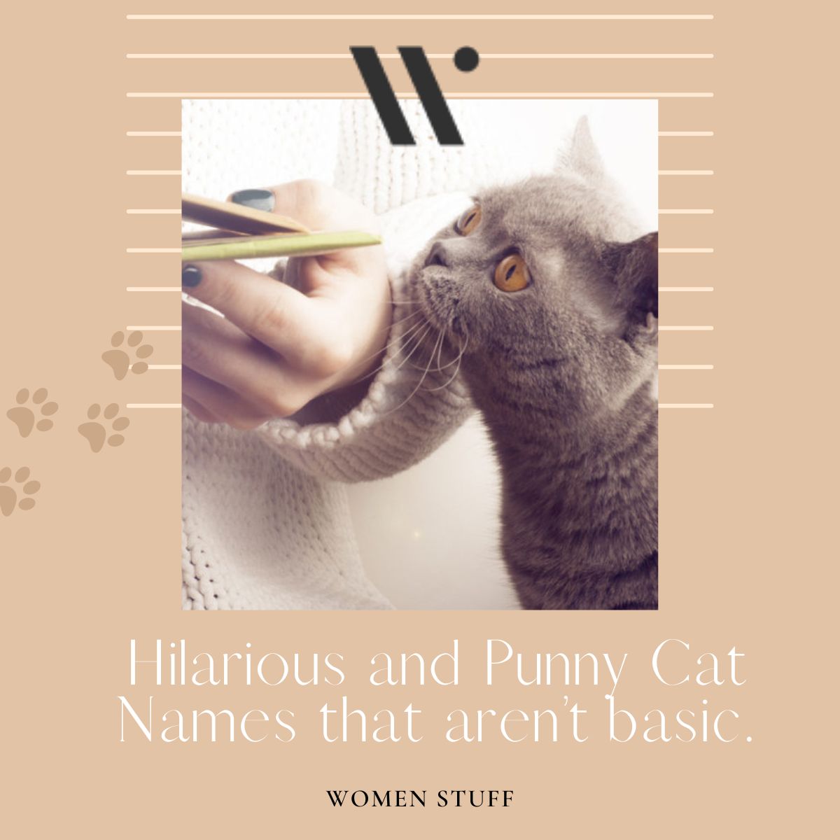 Hilarious and Punny Cat Names that aren’t basic Banner Image